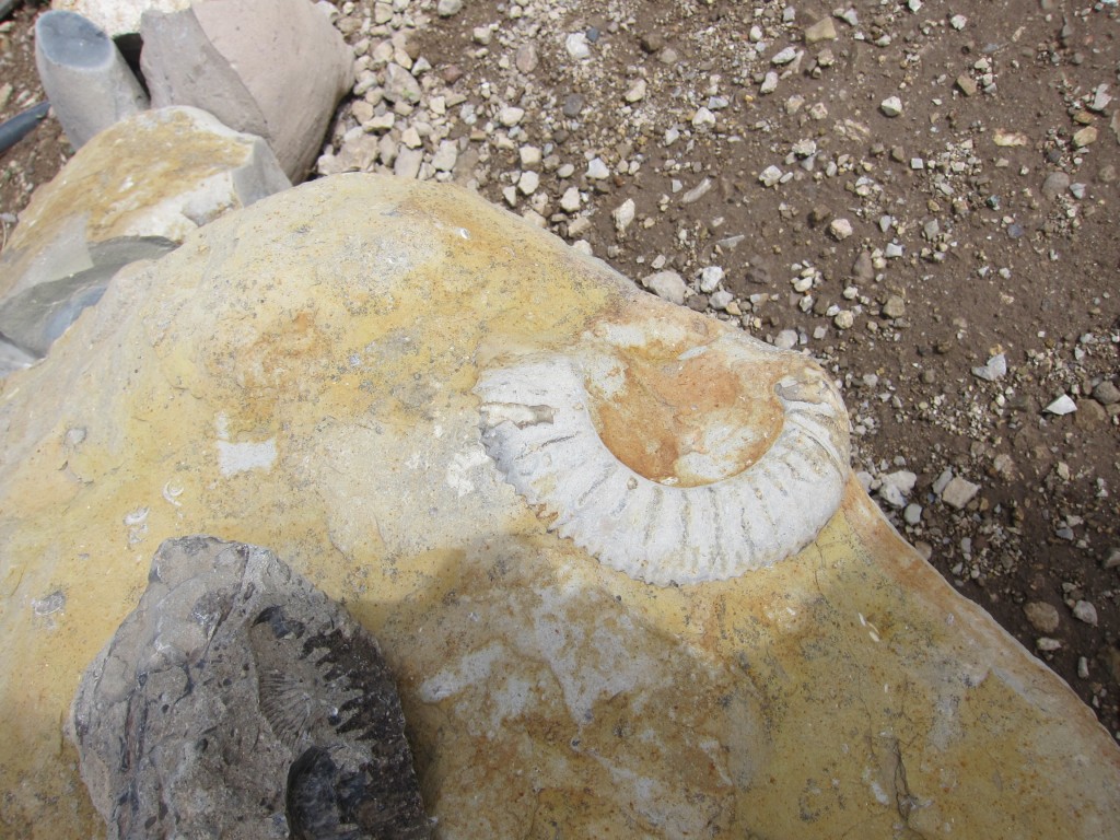 Foto: Bardas Blancas - Malargüe (Mendoza), Argentina