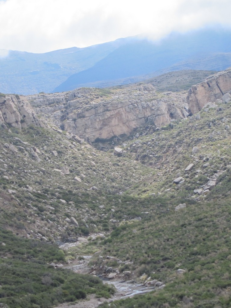 Foto: Bardas Blancas - Malargüe (Mendoza), Argentina