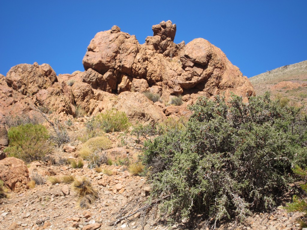 Foto: Bardas Blancas - Malargüe (Mendoza), Argentina