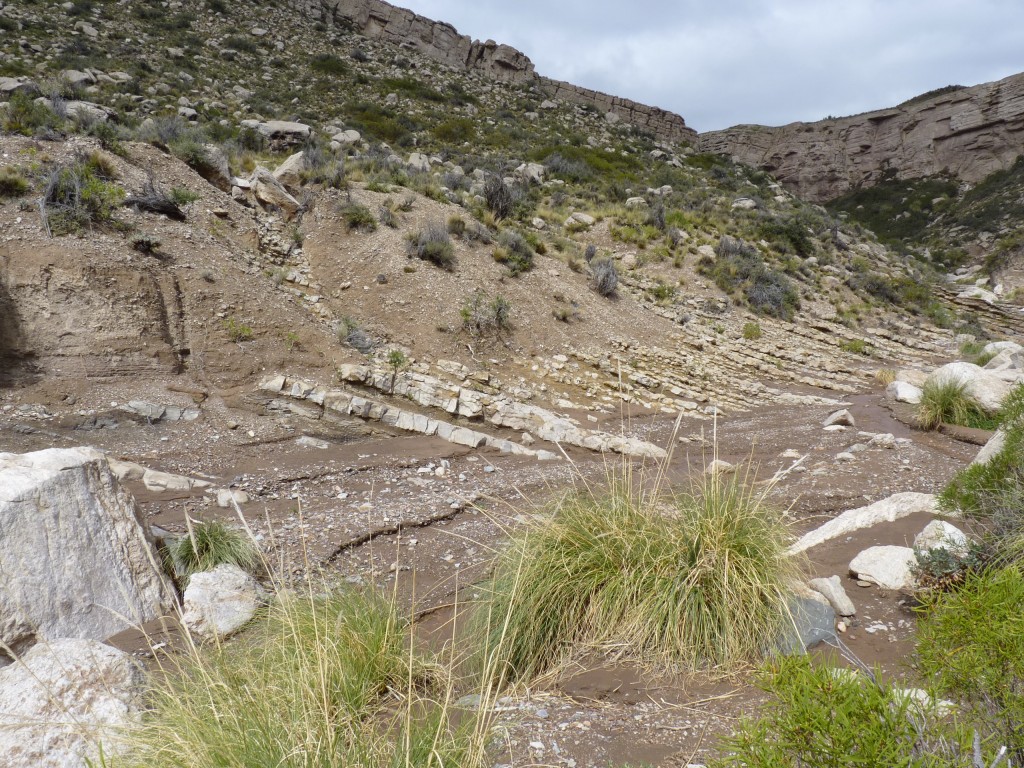 Foto: Bardas Blancas - Malargüe (Mendoza), Argentina