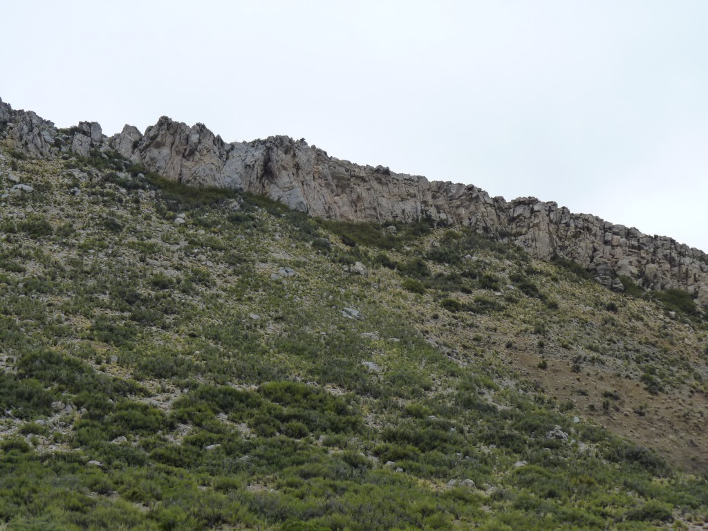 Foto: Bardas Blancas - Malargüe (Mendoza), Argentina