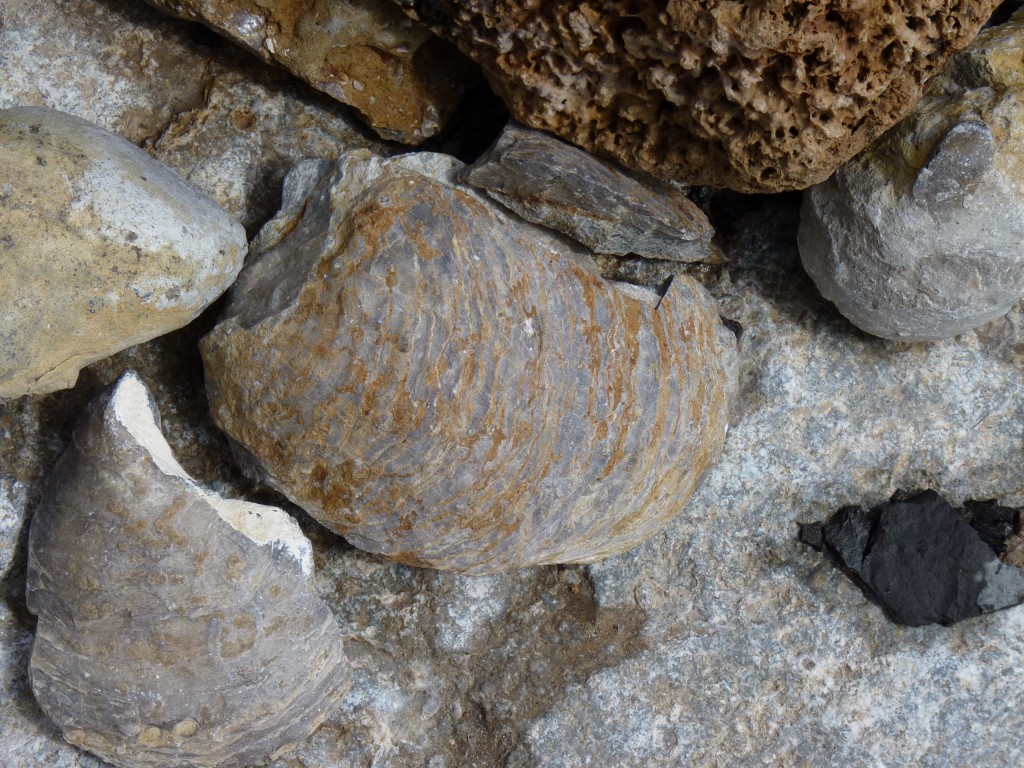 Foto: Bardas Blancas - Malargüe (Mendoza), Argentina