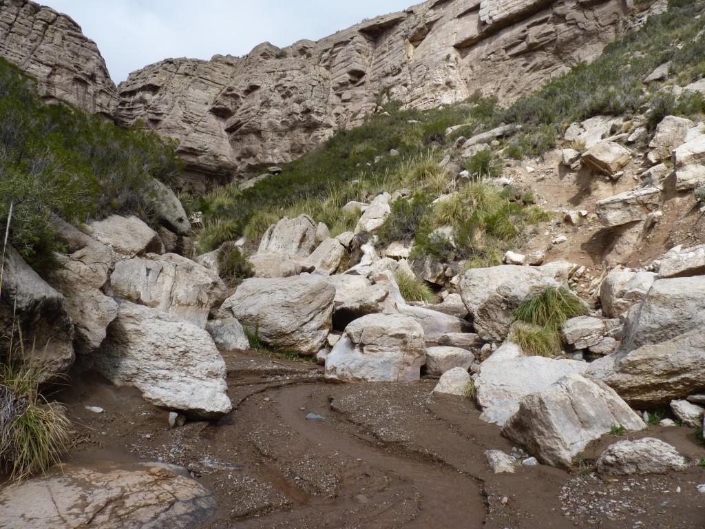 Foto: Bardas Blancas - Malargüe (Mendoza), Argentina