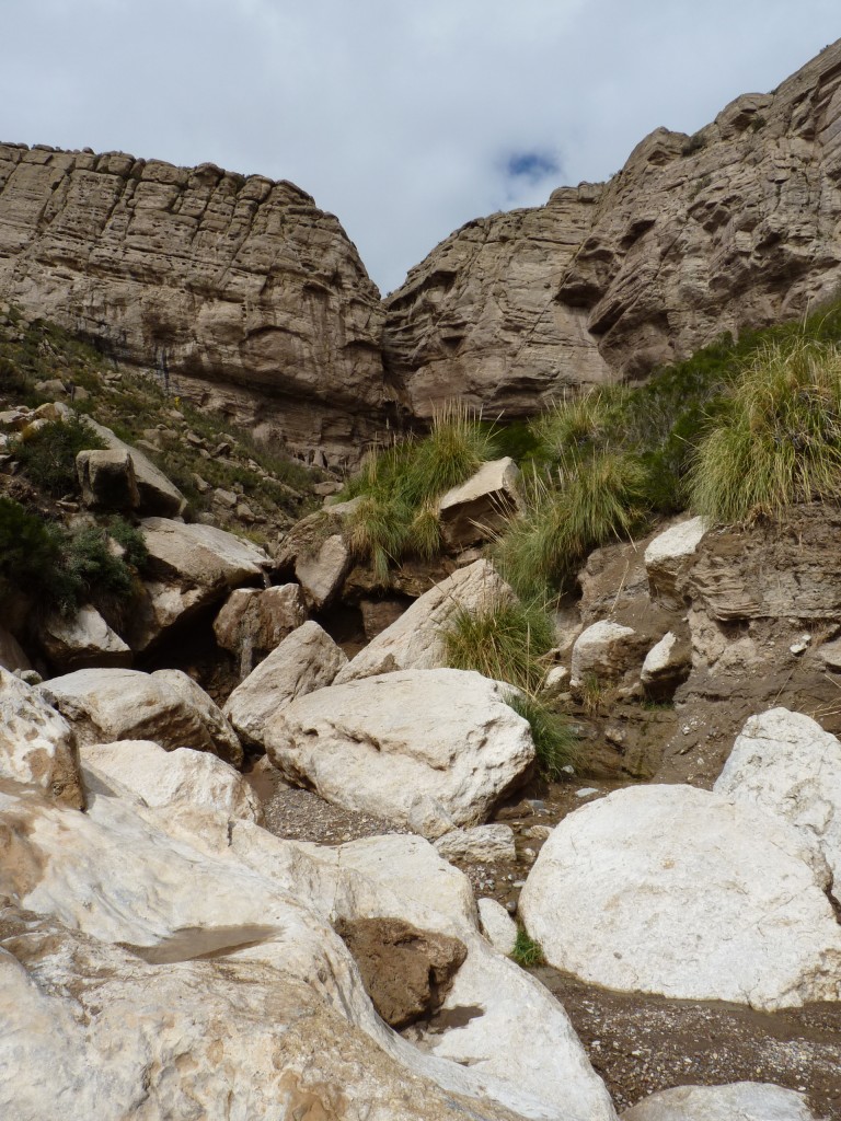 Foto: Bardas Blancas - Malargüe (Mendoza), Argentina