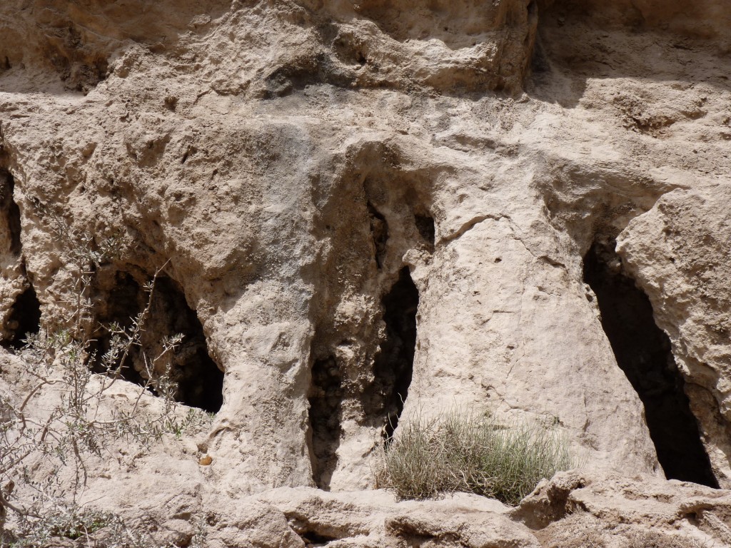 Foto: Bardas Blancas - Malargüe (Mendoza), Argentina