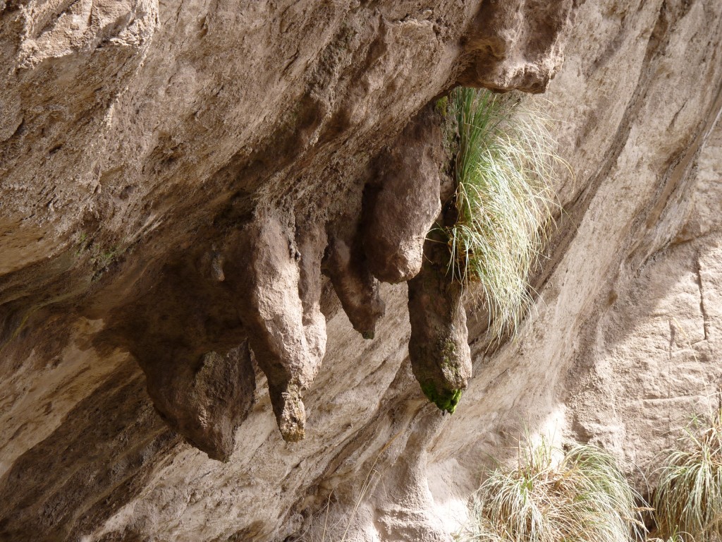 Foto: Bardas Blancas - Malargüe (Mendoza), Argentina