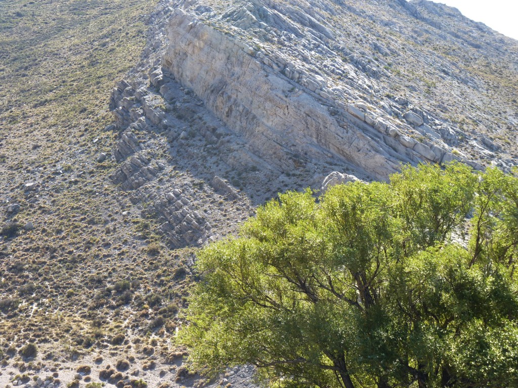 Foto: Bardas Blancas - Malargüe (Mendoza), Argentina