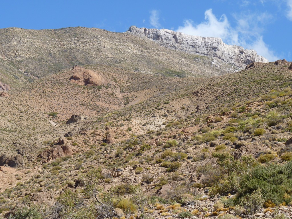 Foto: Bardas Blancas - Malargüe (Mendoza), Argentina