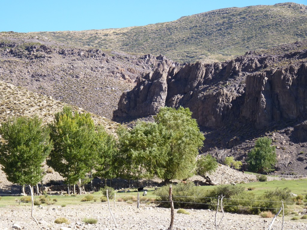 Foto: Bardas Blancas - Malargüe (Mendoza), Argentina