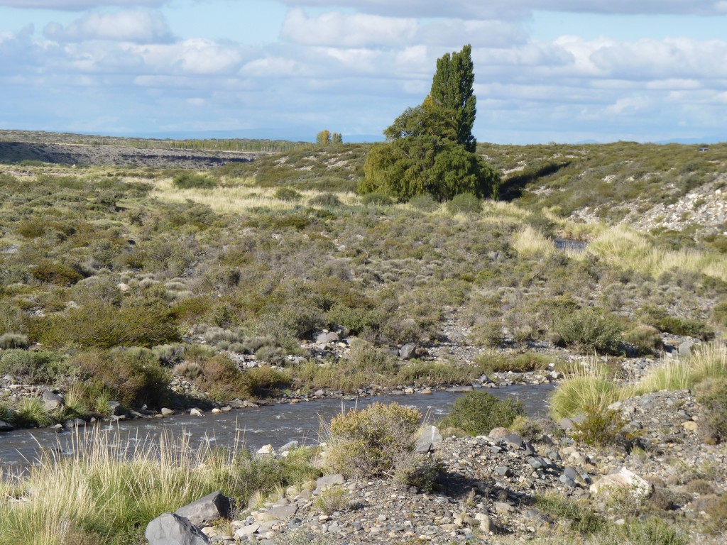 Foto: Río Malargüe - Malargüe (Mendoza), Argentina