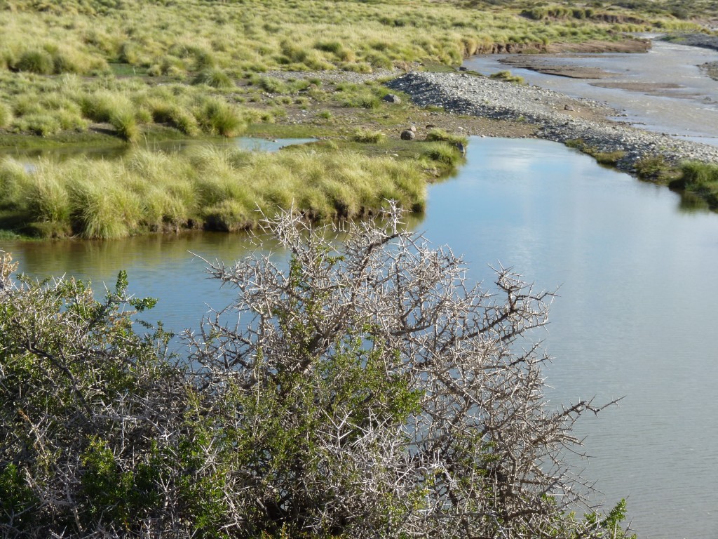 Foto: Río Malargüe - Malargüe (Mendoza), Argentina