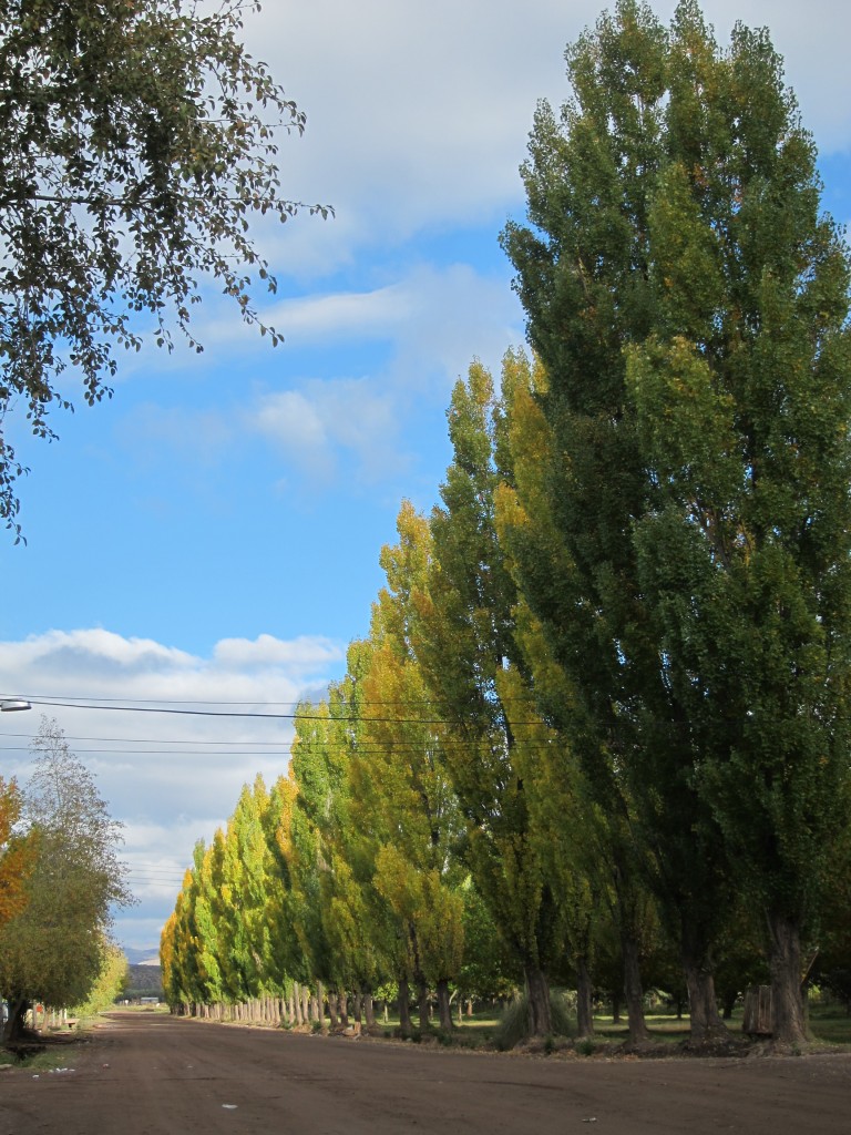 Foto: Camino a los Castillos de Pincheira - Malargüe (Mendoza), Argentina