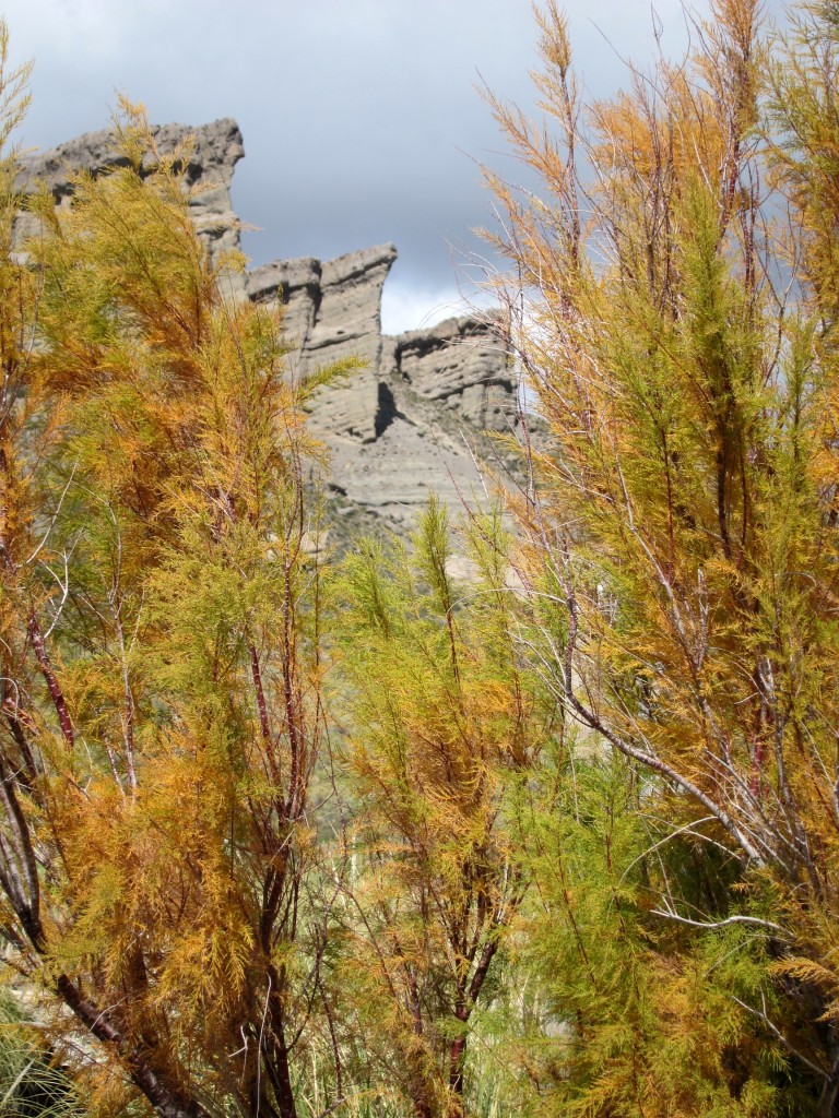 Foto: Castillos de Pincheira - Malargüe (Mendoza), Argentina