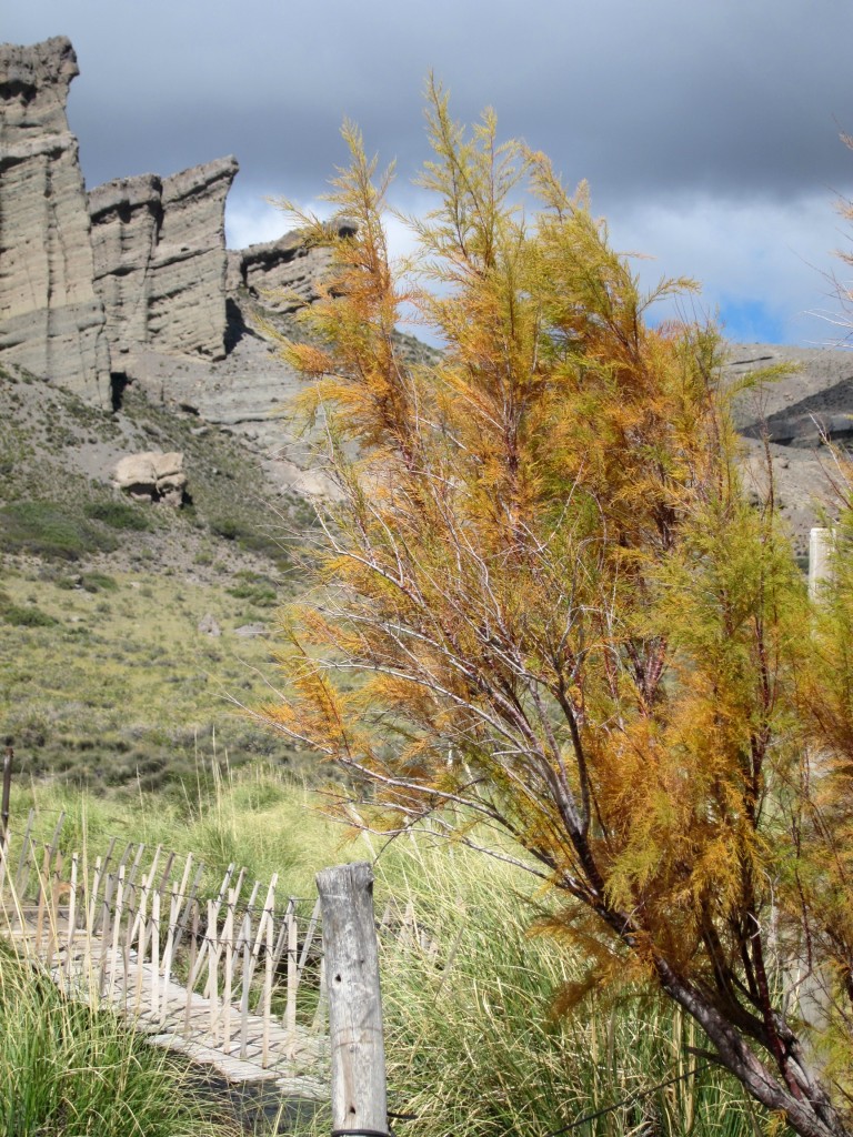 Foto: Castillos de Pincheira - Malargüe (Mendoza), Argentina