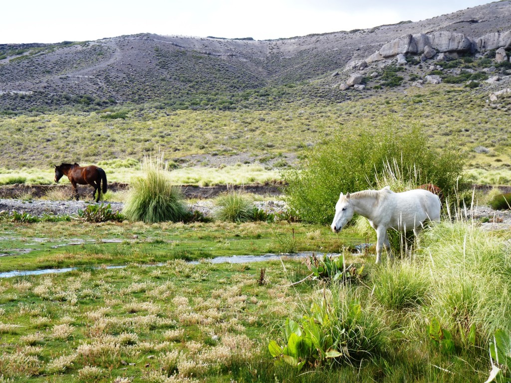 Foto: Castillos de Pincheira - Malargüe (Mendoza), Argentina