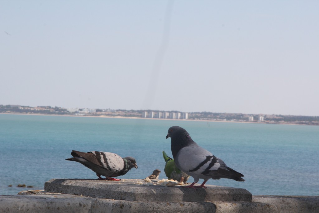 Foto de Cádiz (Andalucía), España