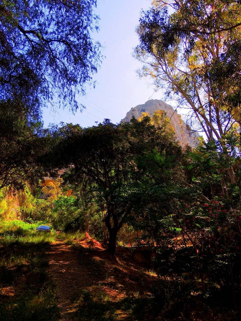 Foto de El Chorro (Málaga), España