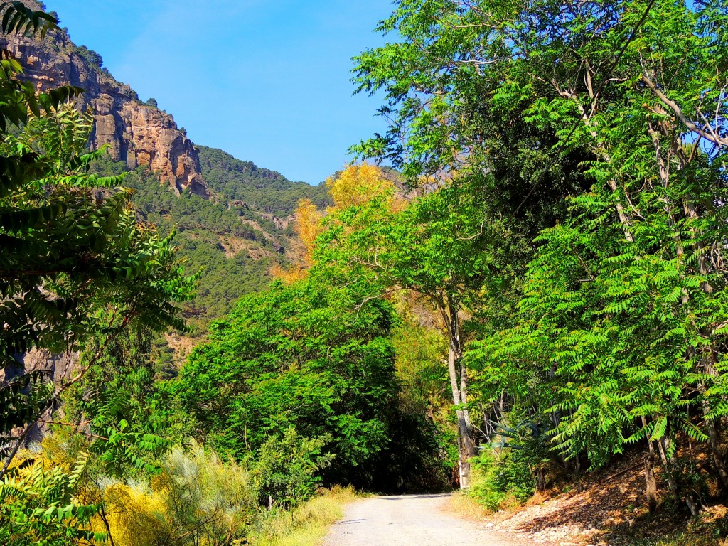 Foto de El Chorro (Málaga), España