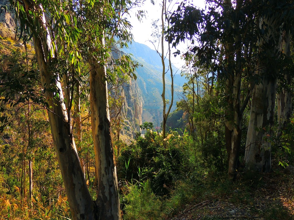 Foto de El Chorro (Málaga), España