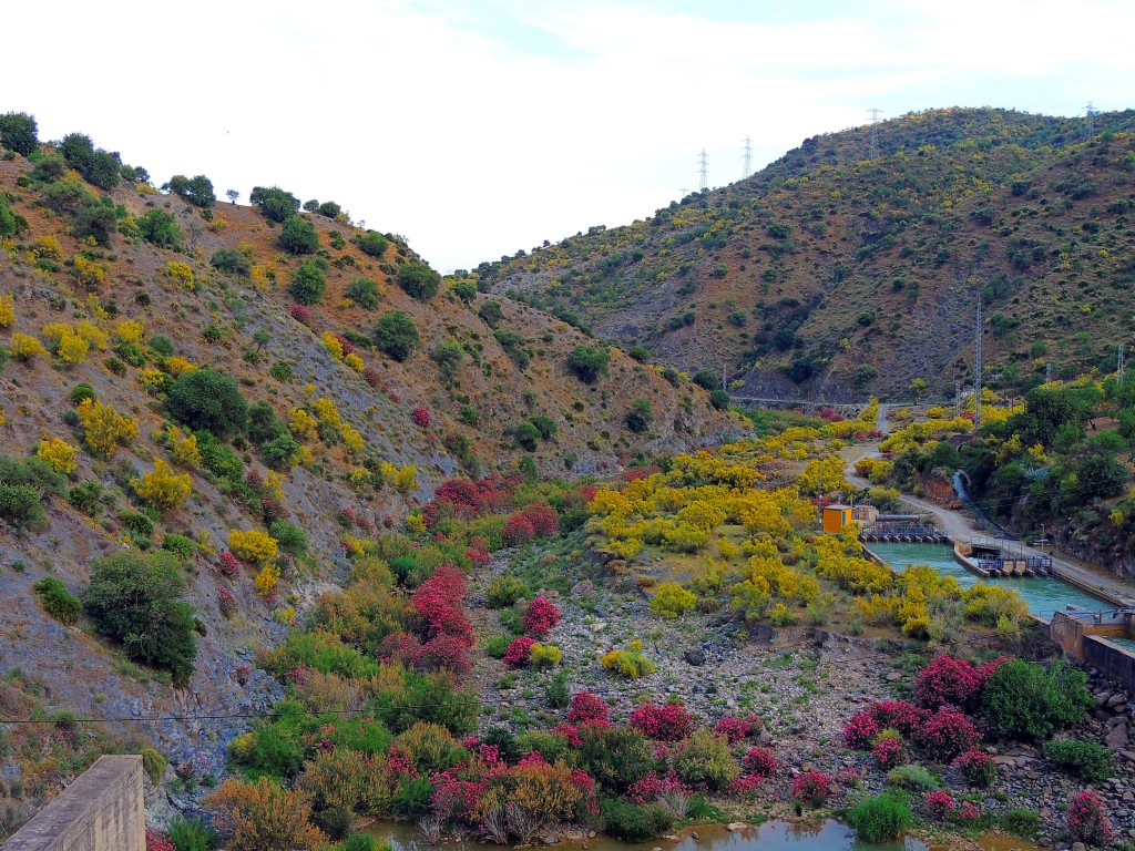 Foto de El Chorro (Málaga), España