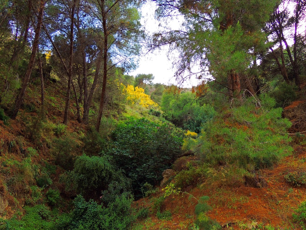 Foto de El Chorro (Málaga), España