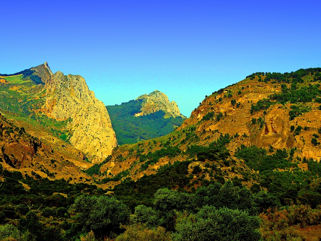 Foto de El Chorro (Málaga), España