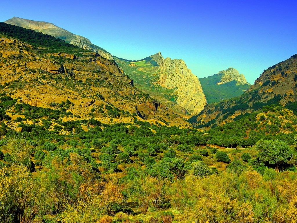 Foto de El Chorro (Málaga), España