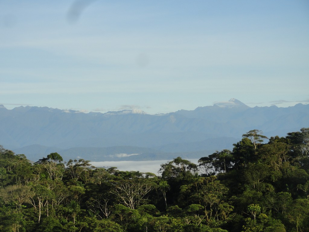 Foto: Paisaje - Simon Bolivar (Mushullacta) (Pastaza), Ecuador