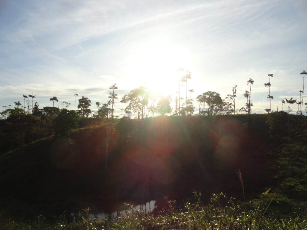 Foto: Paisaje - Simón Bolívar (Mushullacta) (Pastaza), Ecuador