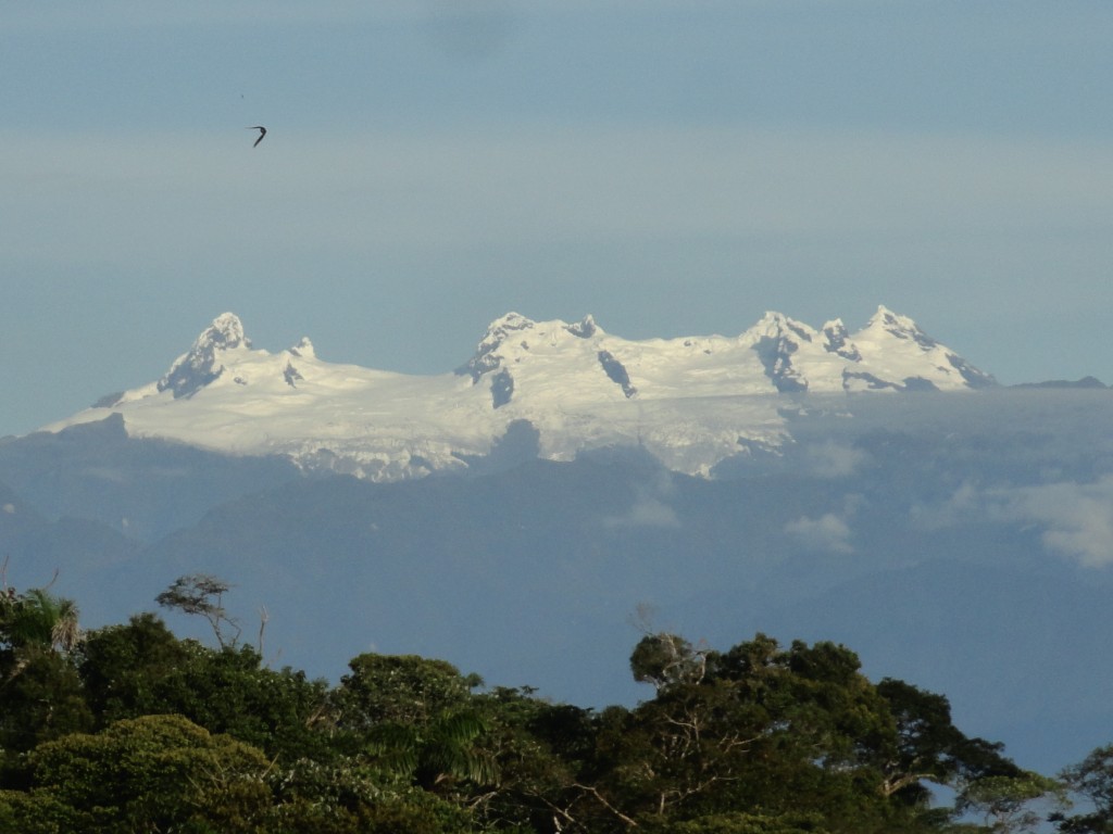 Foto: Los Altares - Simón Bolívar (Mushullacta) (Pastaza), Ecuador