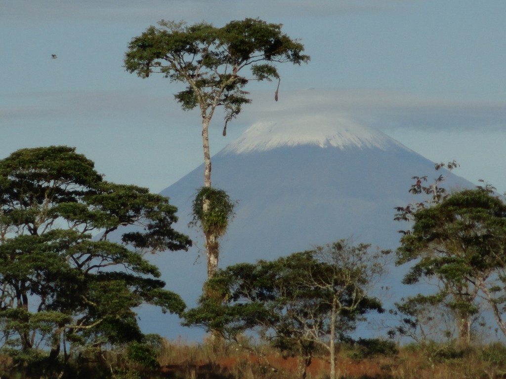 Foto: El Sangay - Simón Bolívar (Mushullacta) (Pastaza), Ecuador