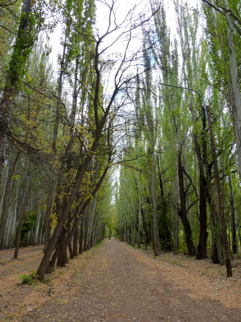 Foto: Casco de la estancia La Orteguina. - Malargüe (Mendoza), Argentina