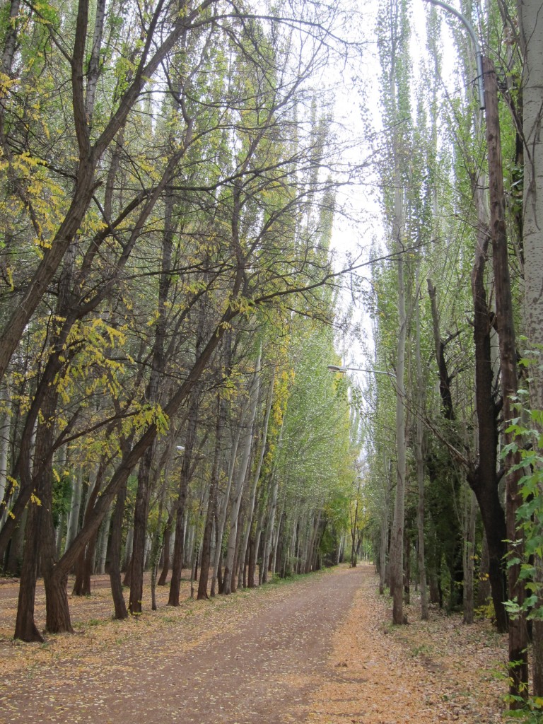 Foto: Casco de la estancia La Orteguina. - Malargüe (Mendoza), Argentina