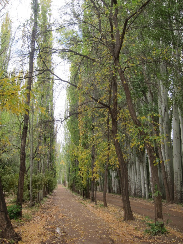 Foto: Casco de la estancia La Orteguina. - Malargüe (Mendoza), Argentina