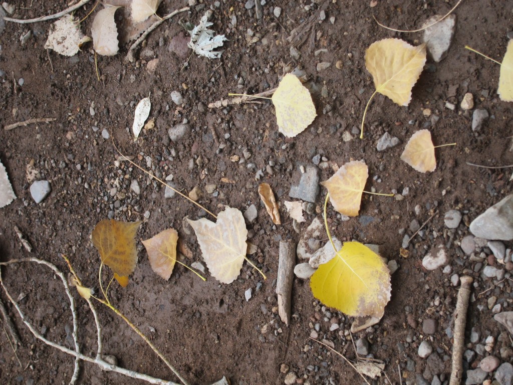 Foto: Casco de la estancia La Orteguina. - Malargüe (Mendoza), Argentina