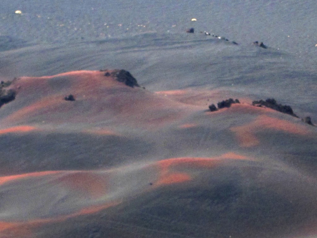 Foto: La Payunia - Malargüe (Mendoza), Argentina