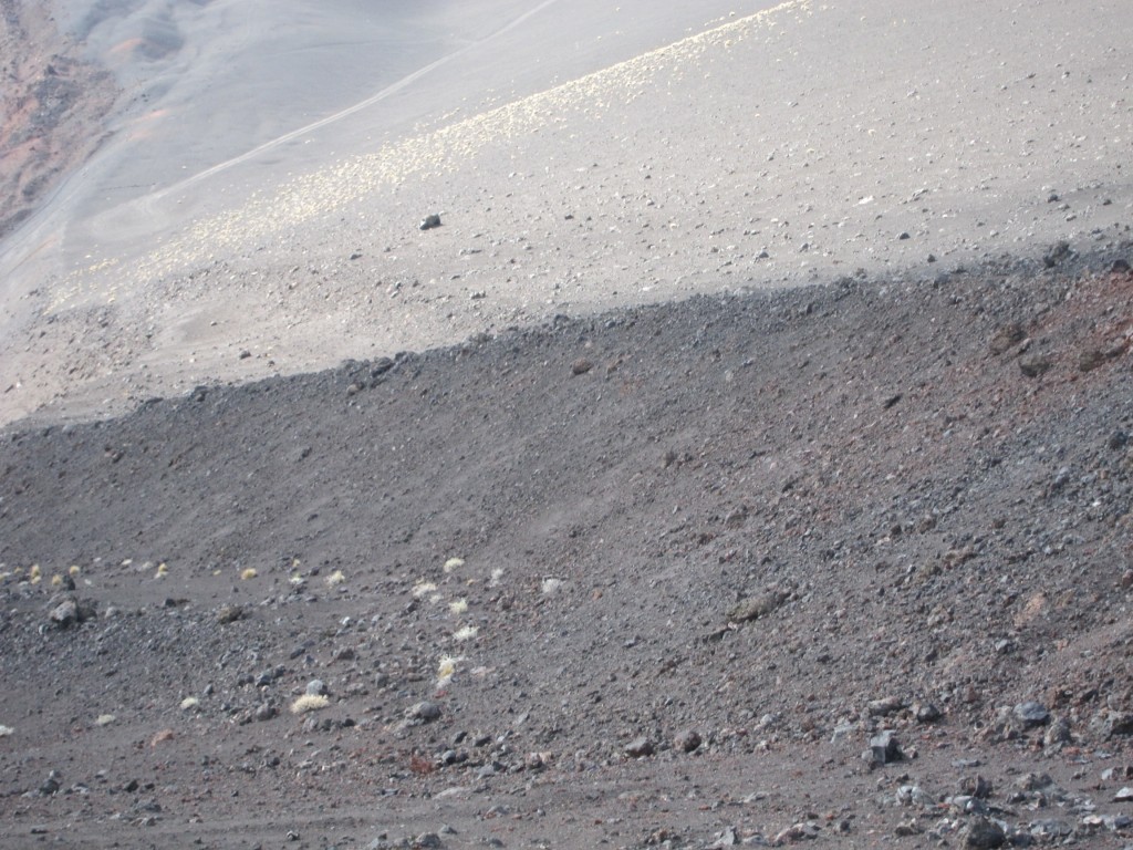 Foto: La Payunia - Volcán Morado - Malargüe (Mendoza), Argentina