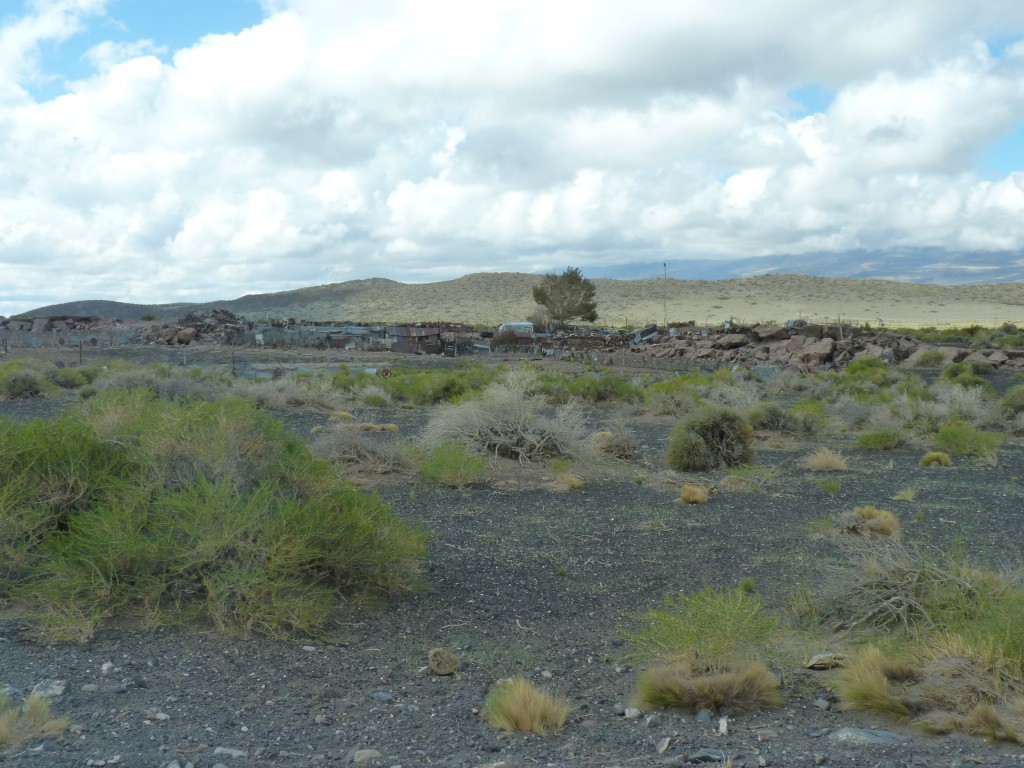 Foto: La Payunia. - Malargüe (Mendoza), Argentina