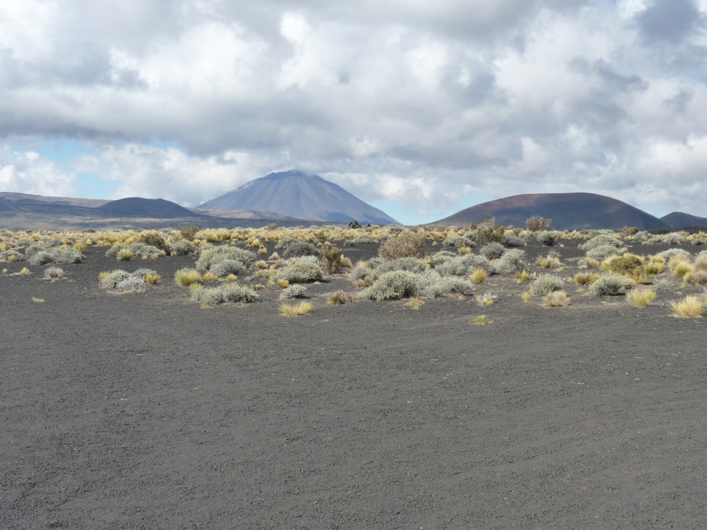 Foto: La Payunia. - Malargüe (Mendoza), Argentina