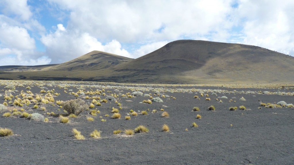 Foto: La Payunia - Malargüe (Mendoza), Argentina