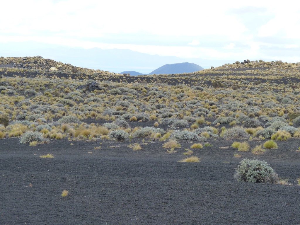 Foto: La Payunia - Malargüe (Mendoza), Argentina