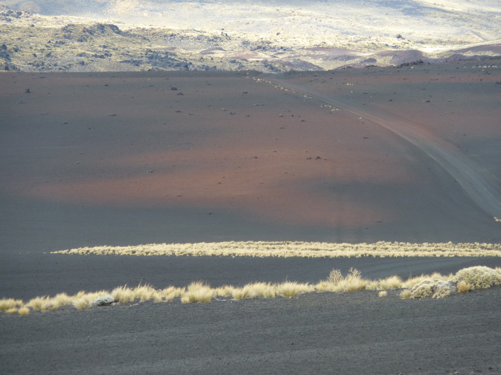 Foto: La Payunia - Malargüe (Mendoza), Argentina