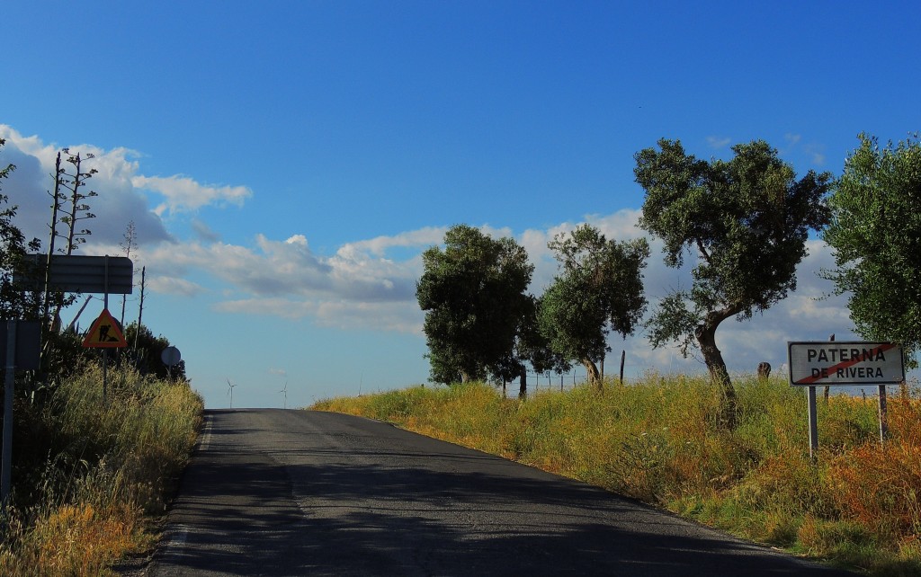 Foto: Salida hacia Arcos - Paterna de la Rivera (Cádiz), España