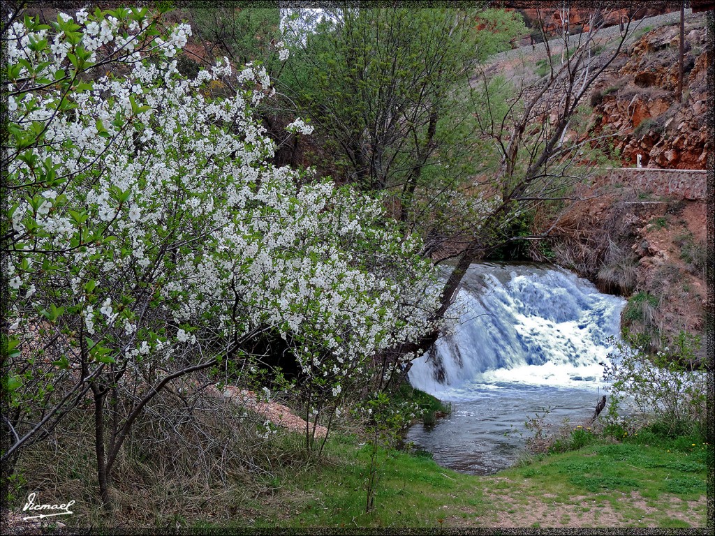 Foto: 140414-09 SOMAEN - Somaen (Soria), España