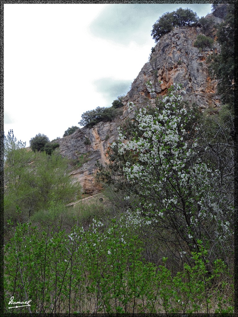 Foto: 140414-13 SOMAEN - Somaen (Soria), España