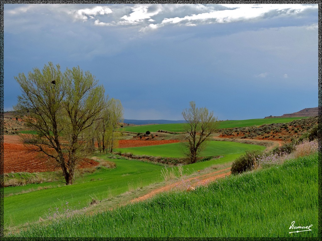 Foto: 140415-07 ALCONCHEL DE ARIZA - Alconchel De Ariza (Zaragoza), España