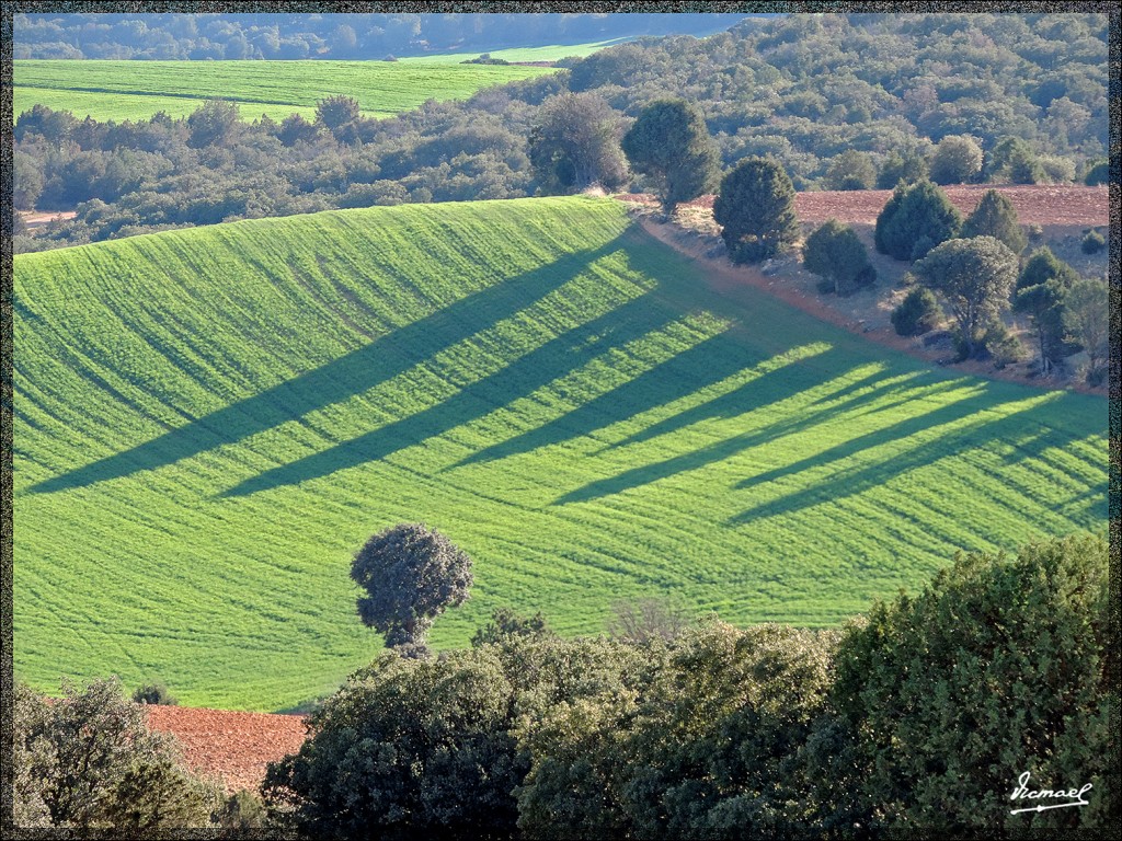 Foto: 140418-20 ALCONCHEL DE ARIZA - Alconchel De Ariza (Zaragoza), España