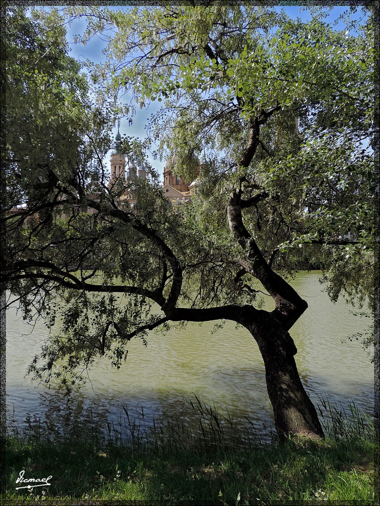 Foto: 140427-10 ORILLAS DEL EBRO - Zaragoza (Aragón), España