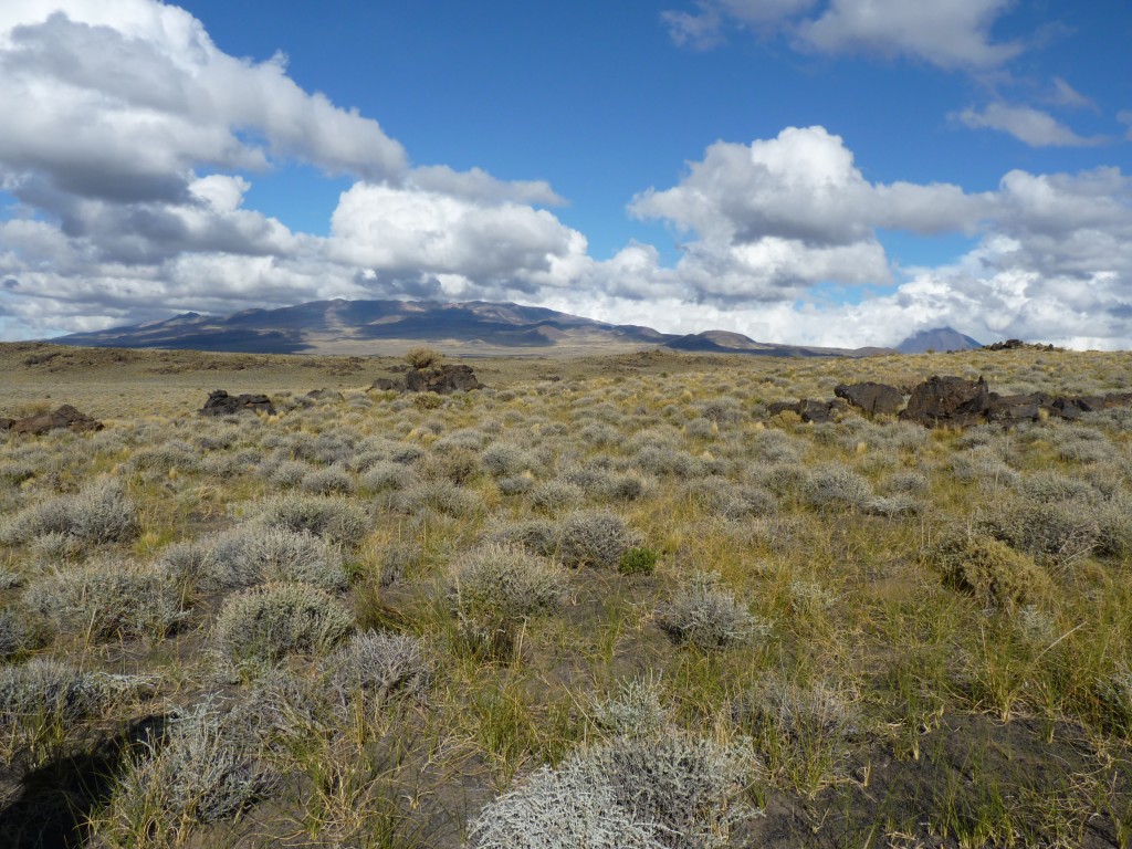 Foto: La Payunia. - Malargüe (Mendoza), Argentina