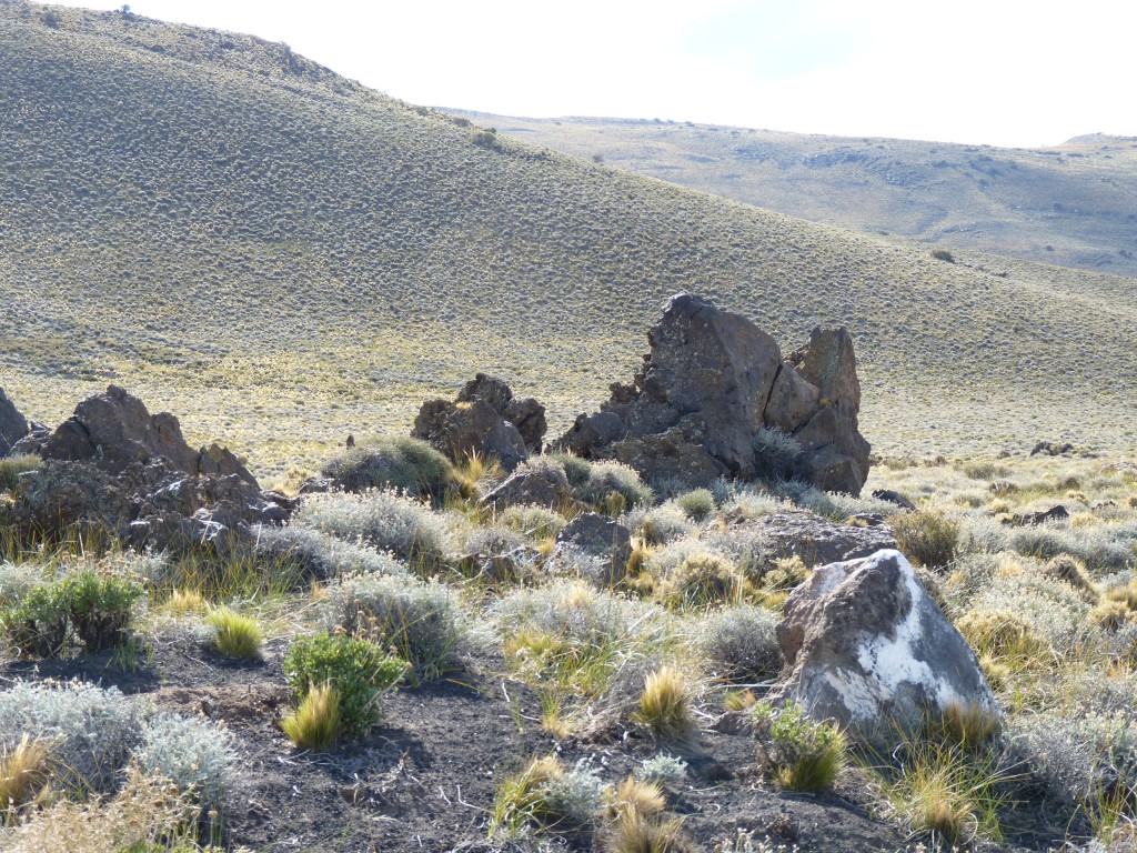 Foto: La Payunia. - Malargüe (Mendoza), Argentina